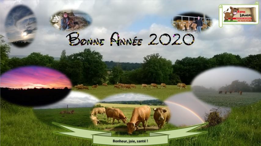 BONNE ANNEE 2020